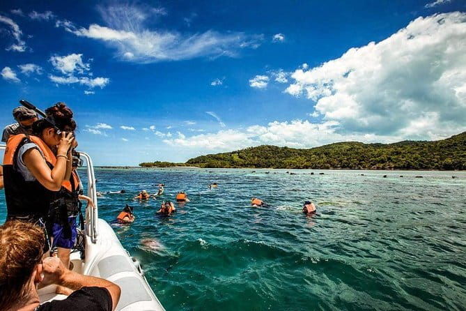 The Pigs Island snorkeling trip from Koh Samui by Speedboat - Practical Tips for Your Trip
