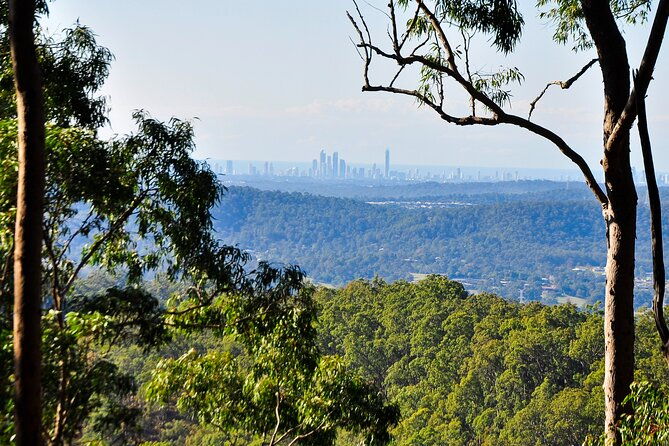 The Tastes of Tamborine Mountain - Frequently Asked Questions