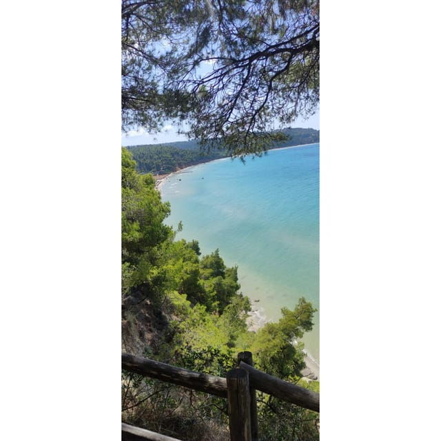 thessaloniki-halkidiki-beach-hopping-with-swimming