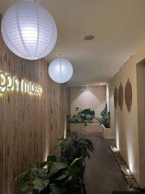 tigon-spa-vip-1-120-minutes-massage-and-hair-wash