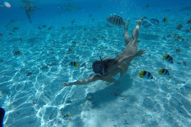 Toa Boat Bora Bora Private Lagoon tour On Ambassador Boat - FAQ