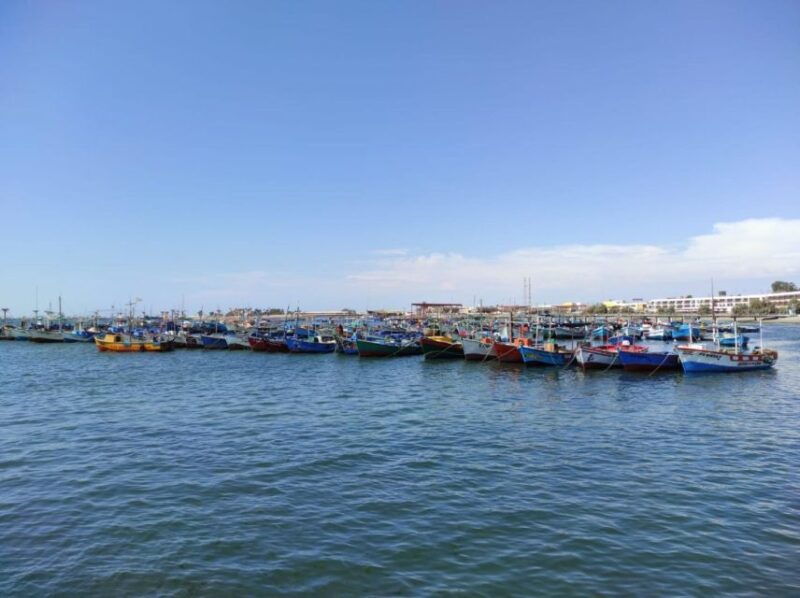 tour-ballestas-islands-and-the-paracas-national-reserve