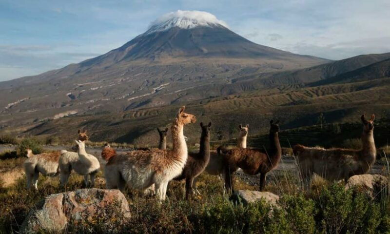 tour-in-the-national-reserve-of-salinas-and-aguada-blanca