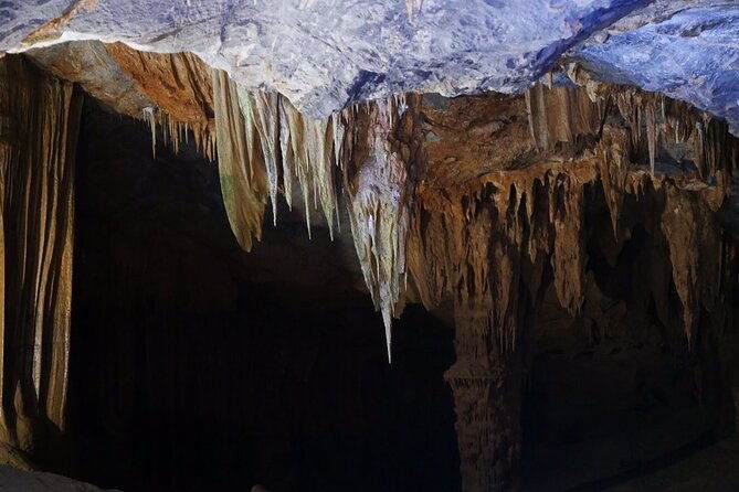 TOUR TO THE CAVES - Paradise & Dark caves from Dong hoi city - Who Is This Tour Best For?