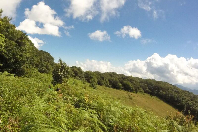 tour-with-hike-in-kiew-mae-pan-natural-trail-from-chiang-mai