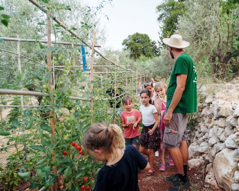 traditional-greek-cooking-class-lefkada-micro-farm-2