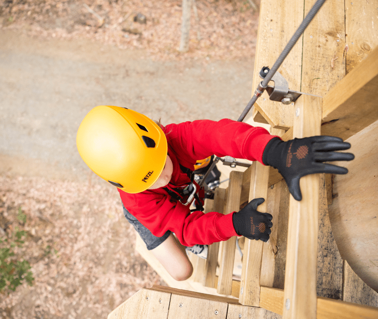 treeclimb-kuitpo-forest-exciting-treetop-climbing-adventure