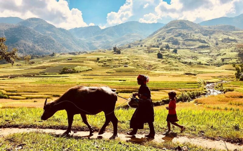 trekking-sapa-1-day-the-best-terraced-rice-field