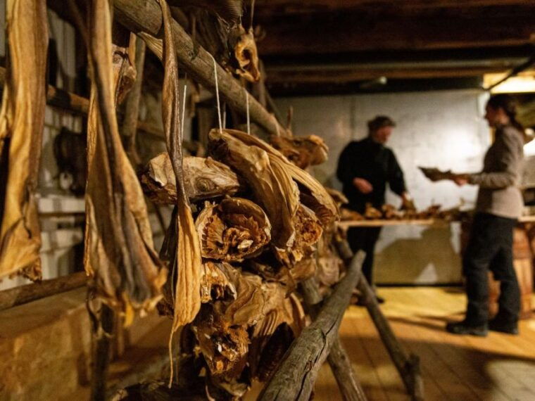 tromso-cod-tasting-tour-with-full-steam-museum-entry