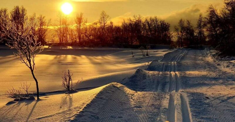 tromso-cross-country-guided-skiing-course