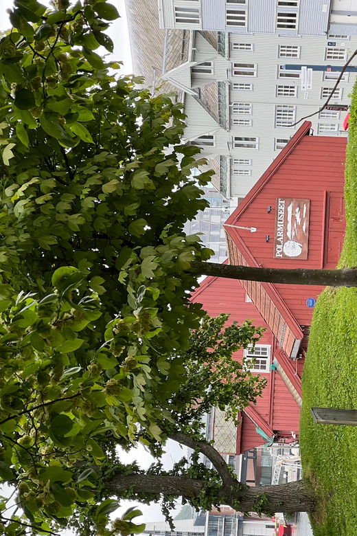 tromso-explore-the-city-and-a-guided-tour-of-polarmuseum