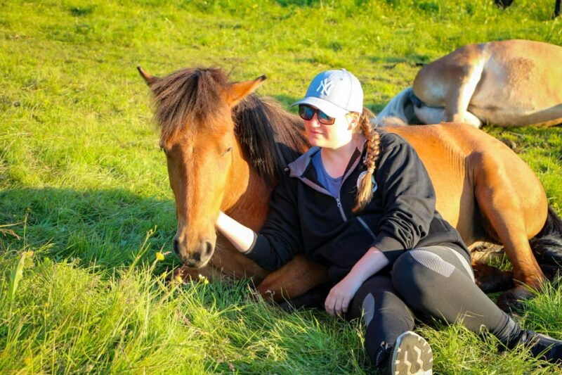 tromso-lyngen-horse-summer-evening-riding-experience