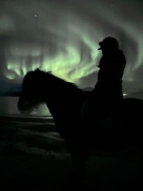 tromso-lyngen-horse-winter-evening-riding-experience