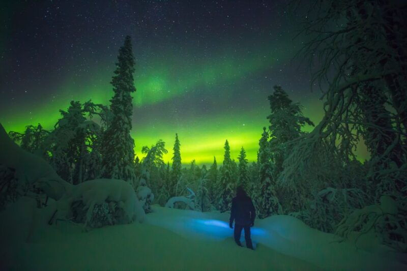 tromso-reindeer-sled-dinner-and-northern-lights-day-trip