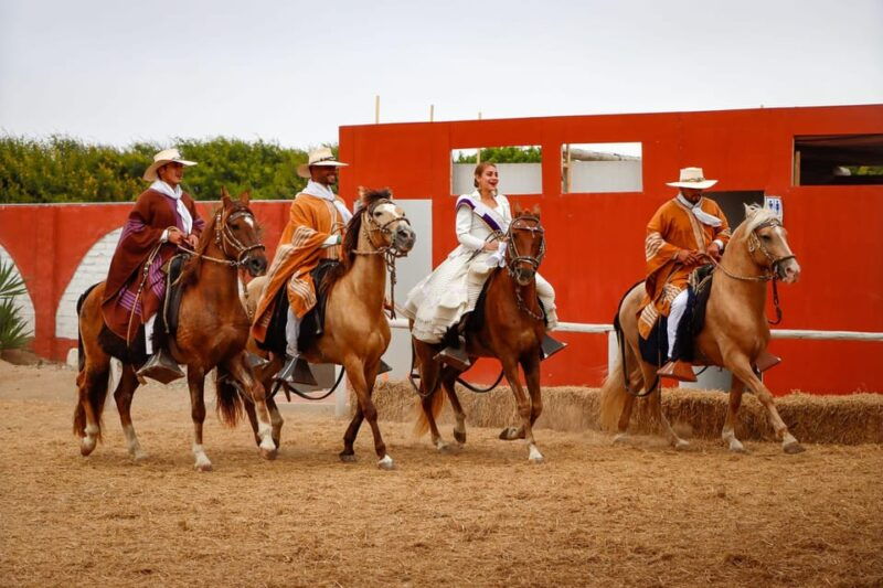 trujillo-show-of-peruvian-paso-horse-marinera-with-lunch