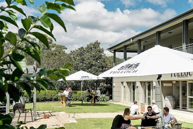 Tulloch Wines- Tasting of 6 Pokolbin Dry Red Shiraz Vintages with Charcuterie - The Sum Up