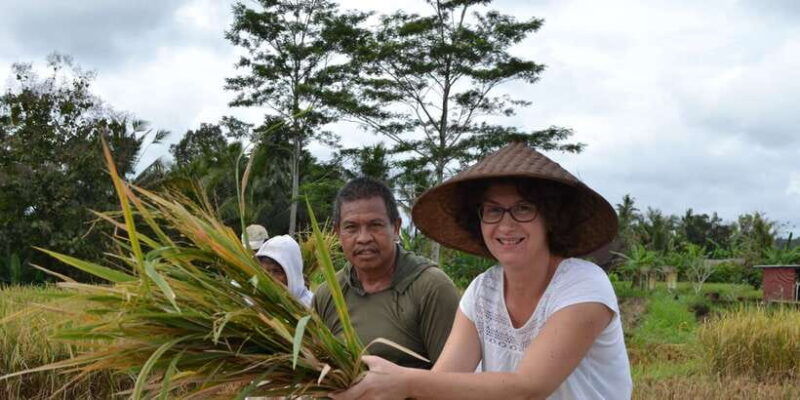 ubud-3-hour-walking-tour-with-lunch