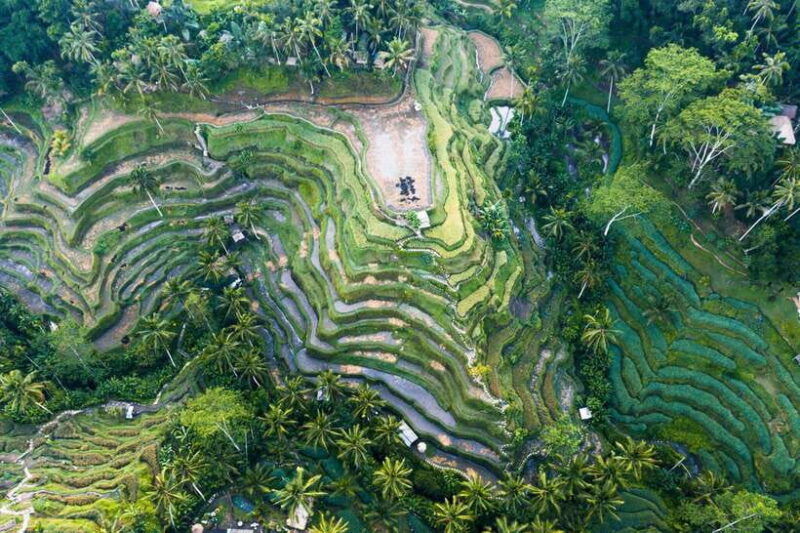 ubud-adventure-whitewater-rafting-and-cultural-exploration