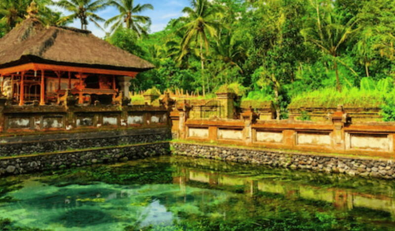 ubud-full-day-private-tour-with-all-inclusive