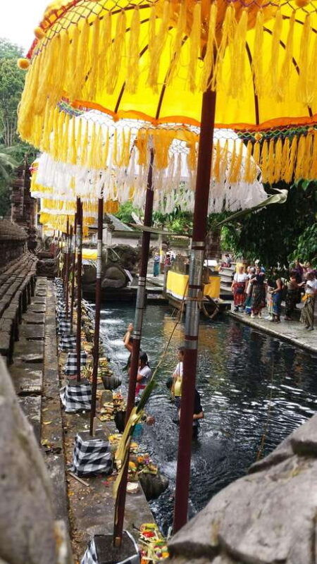 ubud-one-day-private-tour-with-driver-guide