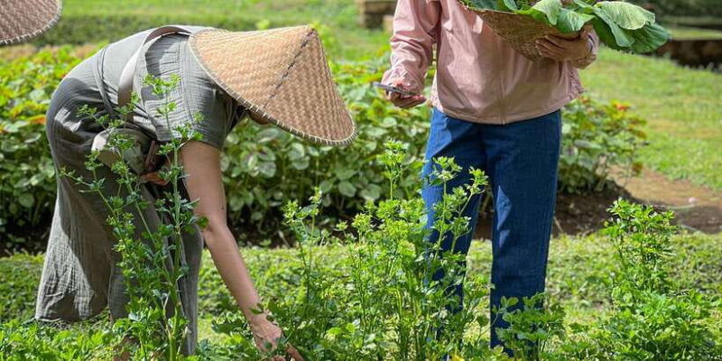 ubud-organic-farm-harvest-bali-cooking-class-by-pemulan