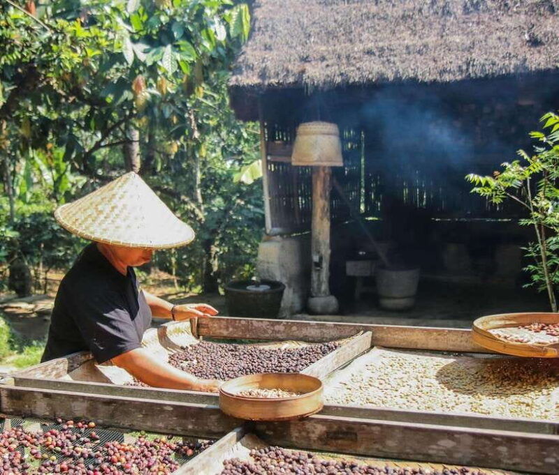 ubud-private-half-day-tour-with-rice-terrace-waterfall