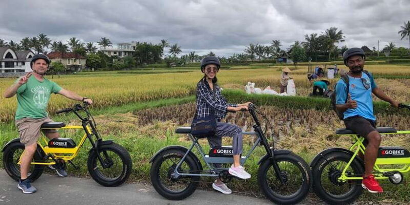 ubud-rice-terraces-villages-half-day-fat-tire-e-bike-tour