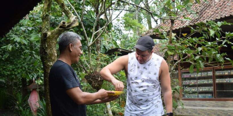 ubud-volcano-hot-springs-tours