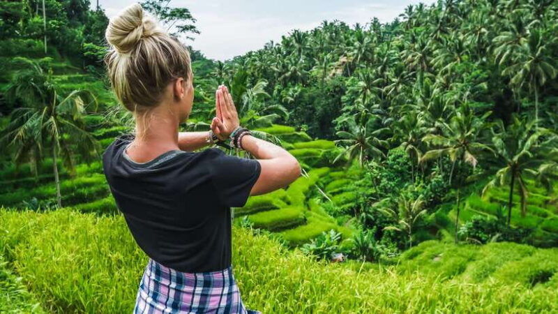 ubud-waterfall-rice-terraces-monkey-forest-tour