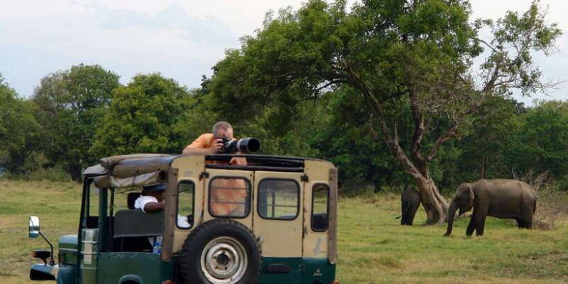 udawalawe-national-park-private-full-day-safari