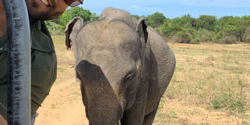 udawalawe-national-park-wildlife-safari-from-bentota