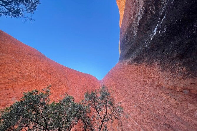 Uluru Private Tour Aboriginal guided option - The Sum Up: Who Is This Tour Best For?