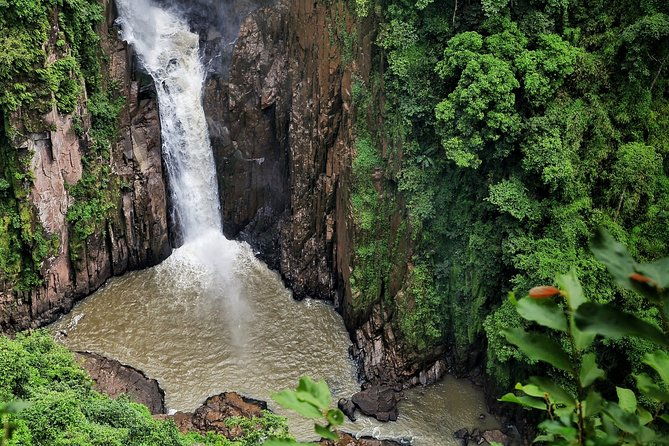 UNESCO Khao Yai National Park Adventure: Hiking & Waterfalls - Practical Details and What to Expect