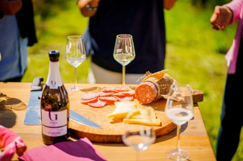 valdobbiadeneprosecco-superiore-hills-tour-with-winetasting