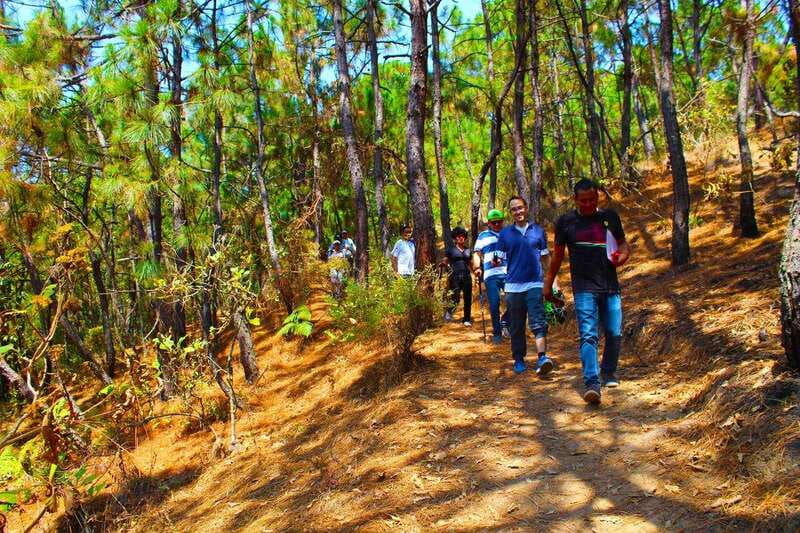 valle-de-bravo-forest-hiking-adventure