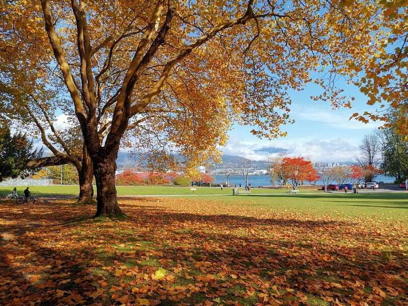 vancouver-guided-city-sightseeing-tour