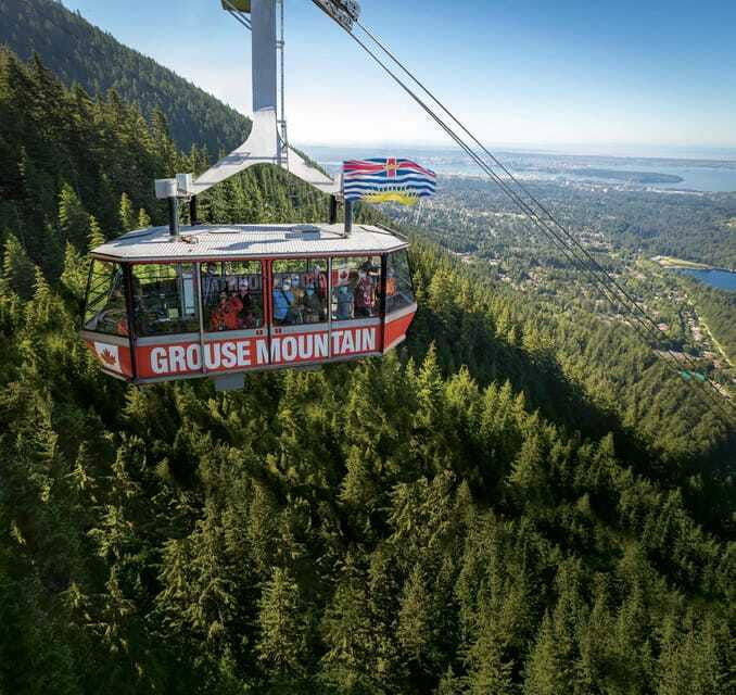 vancouver-guided-hiking-highlights-at-grouse-lynn-canyon