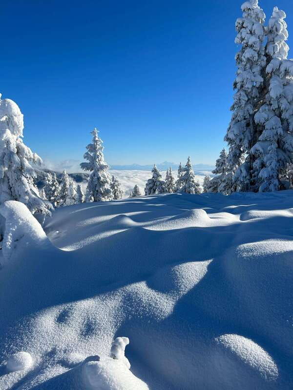 vancouver-north-shore-mountains-snowshoeing-with-transfer
