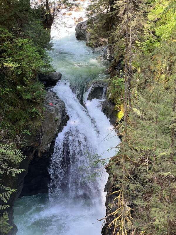 vancouver-rainforest-waterfall-hike-and-suspension-bridge