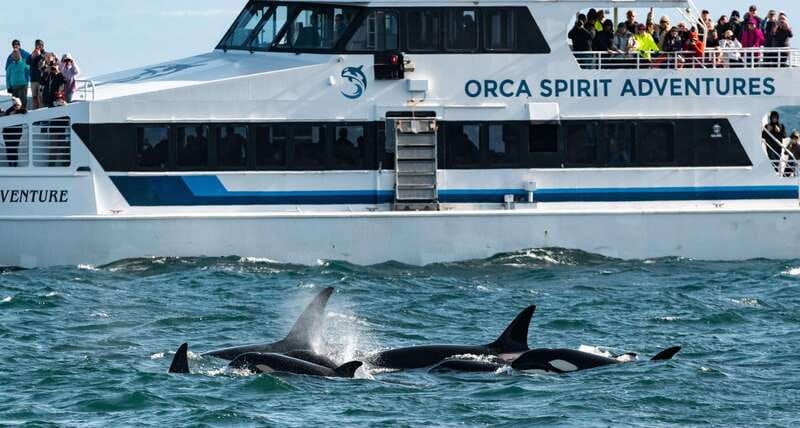 vancouver-seaplane-to-victoria-and-whale-watching-day-trip