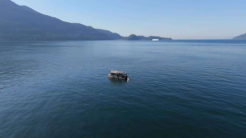 vancouver-snorkeling-seals-kayaking-scenic-boat-tour