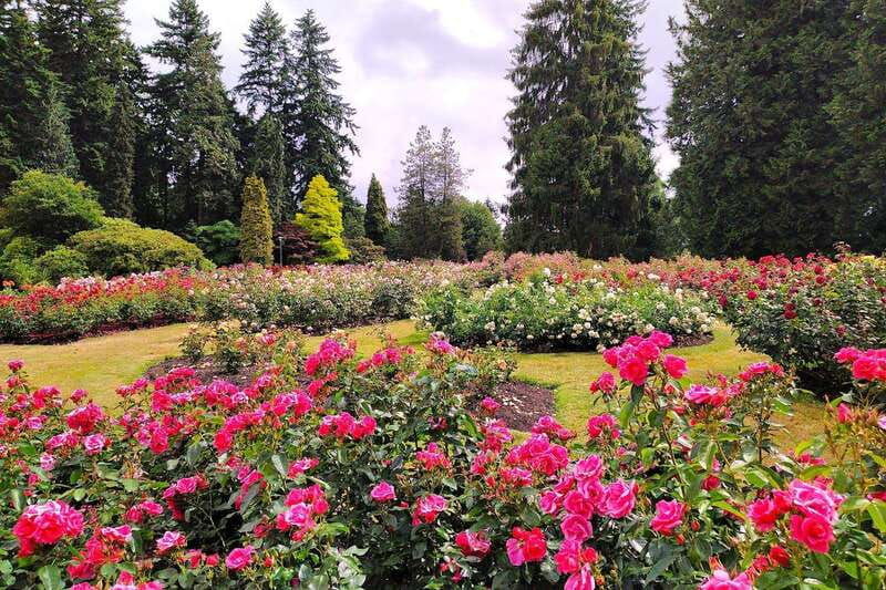 vancouver-the-grand-city-tour
