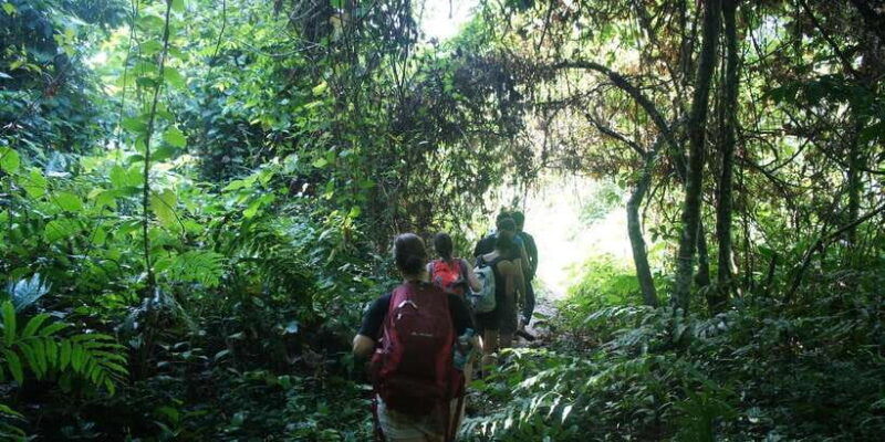 vang-vieng-jungle-caves-full-day-private-trekking-tour
