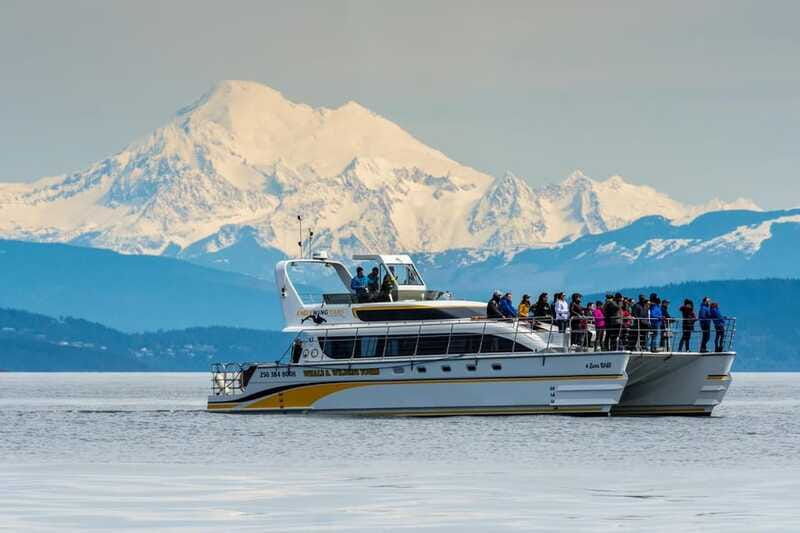 victoria-guided-whale-and-wildlife-watching-cruise