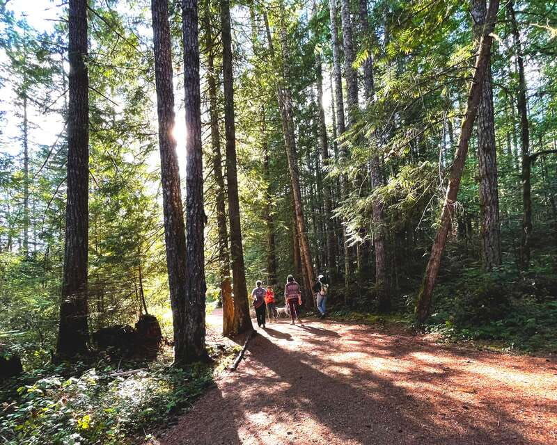 victoria-west-coast-big-tree-coastal-adventure