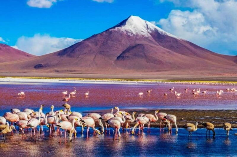 visit-peru-in-16-days-lima-cusco-puno-bolivia-uyuni