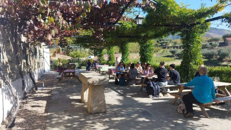 visit-pinhao-visit-and-wine-tasting-panoramic-cruise