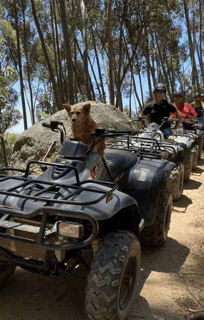 vrede-en-lust-wine-estate-30m-quad-bike-trail