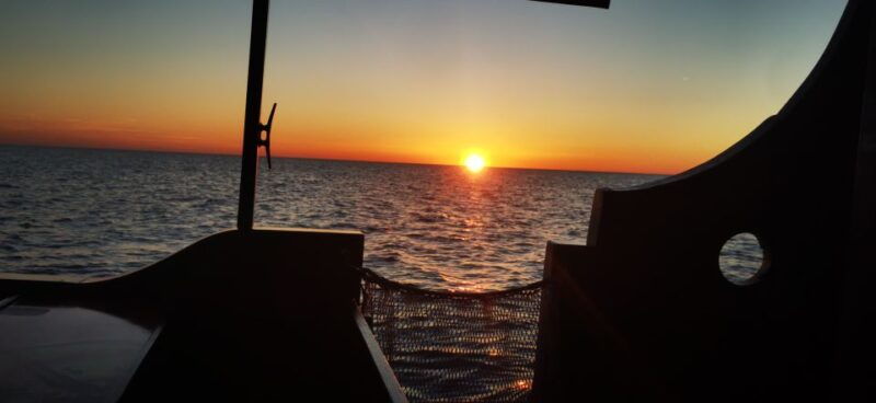 vrsar-dolphin-watching-boat-ride