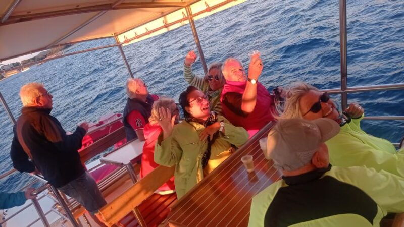vrsar-dolphin-watching-boat-tour-including-drinks-2